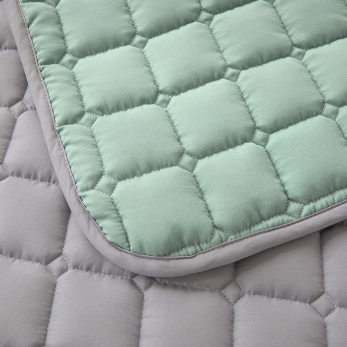 91家纺网 家纺一手货源 找家纺 拾小柒 2025新款A类原棉大豆纤维加厚床褥子床垫保护垫铺床款学生款 绿 学生款