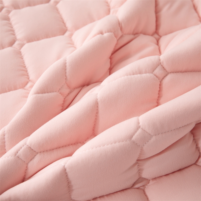 91家纺网 家纺一手货源 找家纺 拾小柒 2025新款A类原棉大豆纤维加厚床褥子床垫保护垫铺床款学生款 粉 学生款