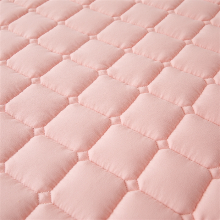 91家纺网 家纺一手货源 找家纺 拾小柒 2025新款A类原棉大豆纤维加厚床褥子床垫保护垫铺床款学生款 粉 学生款