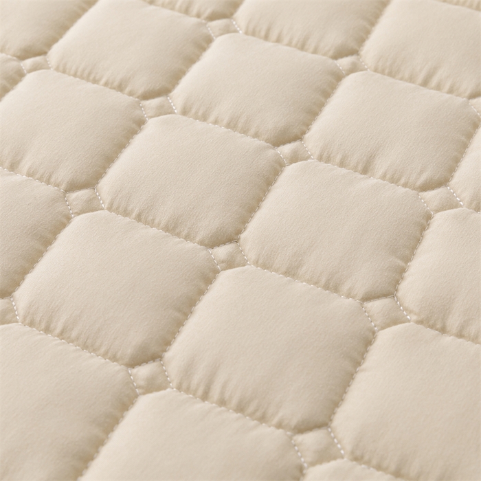 91家纺网 家纺一手货源 找家纺 拾小柒 2025新款A类原棉大豆纤维加厚床褥子床垫保护垫铺床款成人款-床护垫 咖 成人款