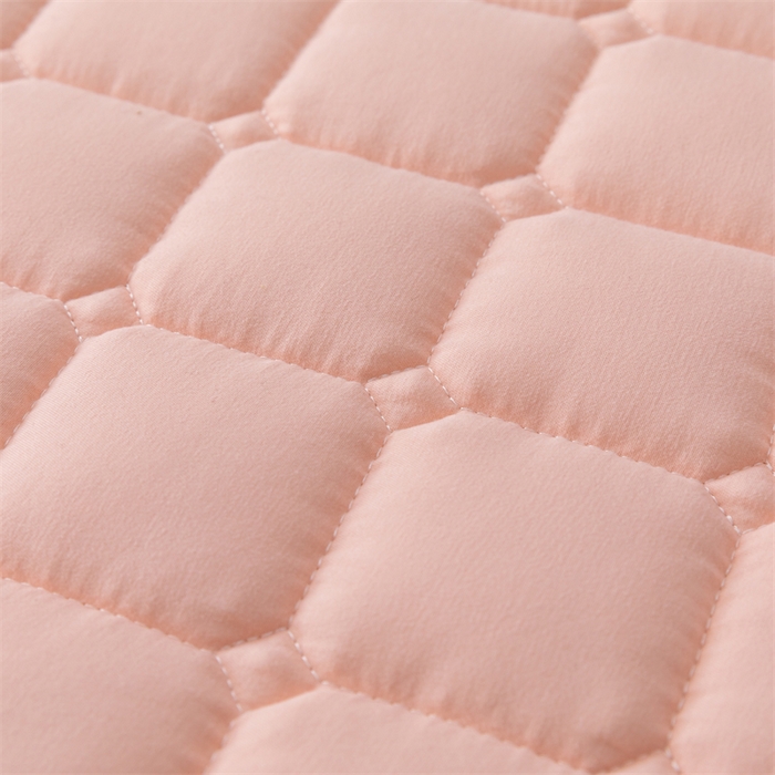 91家纺网 家纺一手货源 找家纺 拾小柒 2025新款A类原棉大豆纤维加厚床褥子床垫保护垫铺床款成人款-床护垫 粉 成人款