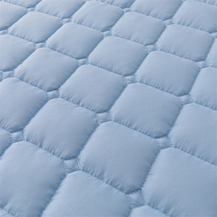 91家纺网 家纺一手货源 找家纺 拾小柒 2025新款A类原棉大豆纤维加厚床褥子床垫保护垫铺床款成人款-床护垫 蓝 成人款