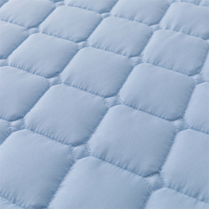 91家纺网 家纺一手货源 找家纺 拾小柒 2025新款A类原棉大豆纤维加厚床褥子床垫保护垫铺床款成人款-床护垫 蓝 成人款