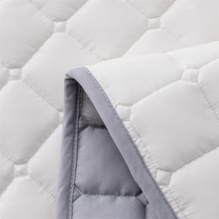 91家纺网 家纺一手货源 找家纺 拾小柒 2025新款A类原棉大豆纤维加厚床褥子床垫保护垫铺床款成人款-床护垫 白 成人款