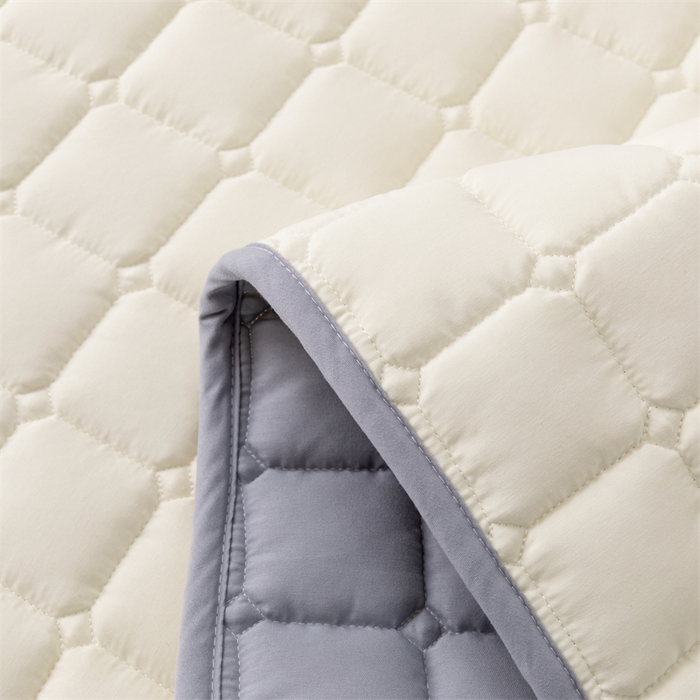 91家纺网 家纺一手货源 找家纺 拾小柒 2025新款A类原棉大豆纤维加厚床褥子床垫保护垫铺床款成人款-床护垫 米白 成人款