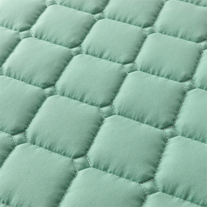 91家纺网 家纺一手货源 找家纺 拾小柒 2025新款A类原棉大豆纤维加厚床褥子床垫保护垫铺床款成人款-床护垫 绿 成人款