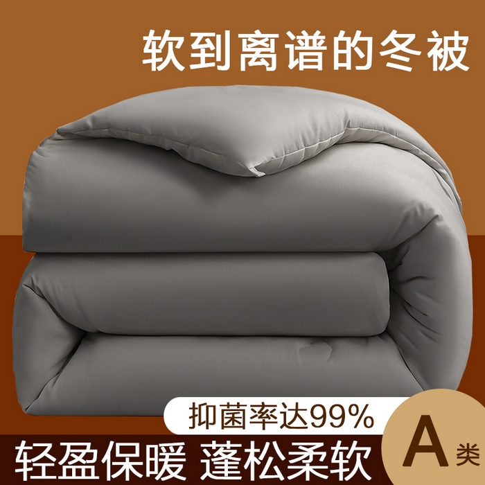91家纺网 家纺一手货源 找家纺 （总）棠婷 2025新款A类亲肤大豆被被子被芯