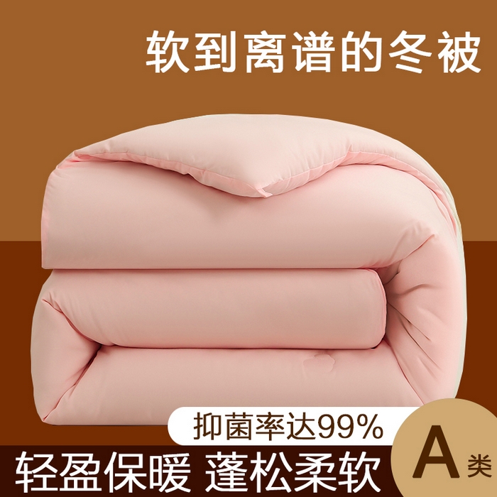 91家纺网 家纺一手货源 找家纺 （总）棠婷 2025新款A类亲肤大豆被被子被芯