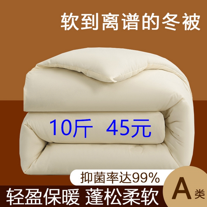 91家纺网 家纺一手货源 找家纺 棠婷  2025年新款全棉80s贡缎50白鸭绒90白鹅绒被鸭绒被双层大提花羽绒被子 白色
