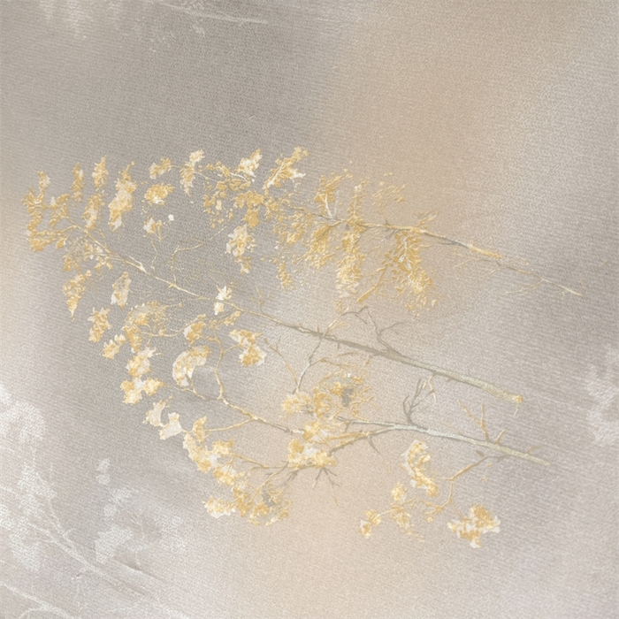 91家纺网 家纺一手货源 找家纺 缦彩 2025新款全棉纯棉磨毛印花拉链式花边枕套一对 安娜丽丝灰