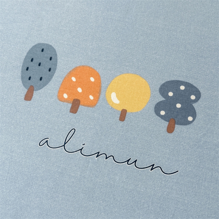 91家纺网 家纺一手货源 找家纺 缦彩 2025新款全棉纯棉磨毛印花拉链式花边枕套一对 珍妮蓝