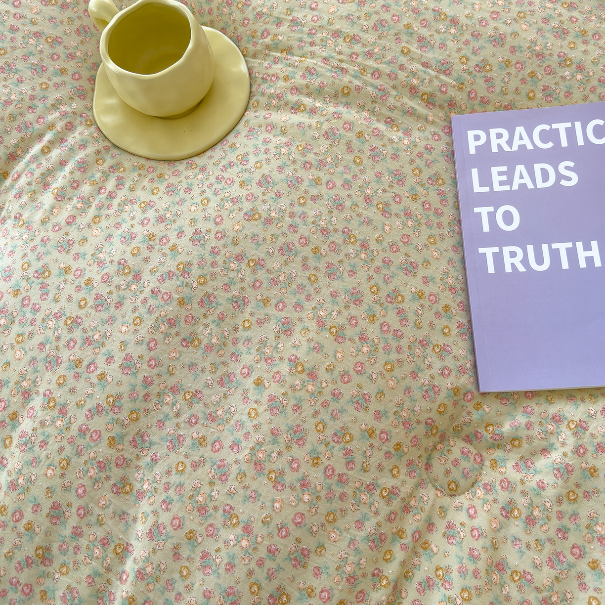 91家纺网 家纺一手货源 找家纺 爱宝被业 2025新款A类水洗棉双层纱豆豆绒被芯 花颜悦色