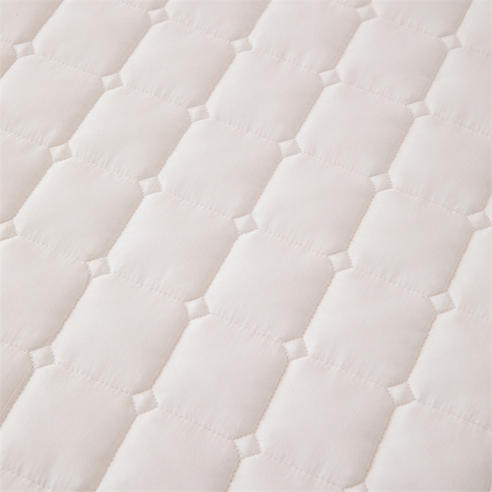 91家纺网 家纺一手货源 找家纺 拾小柒 2025新款A类原棉大豆纤维加厚床褥子床垫保护垫床笠款 象牙白