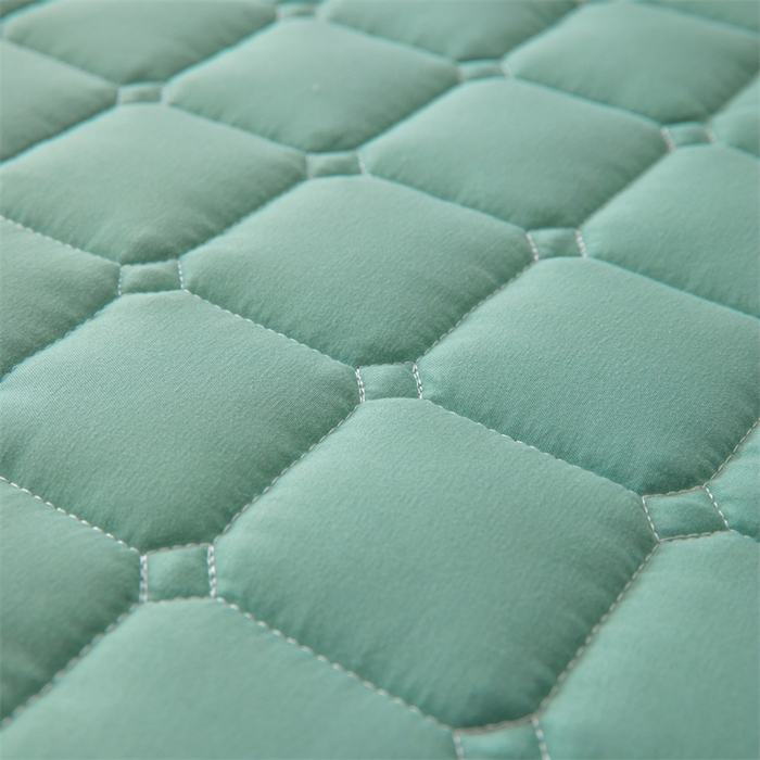 91家纺网 家纺一手货源 找家纺 拾小柒 2025新款A类原棉大豆纤维加厚床褥子床垫保护垫床笠款 潭水绿