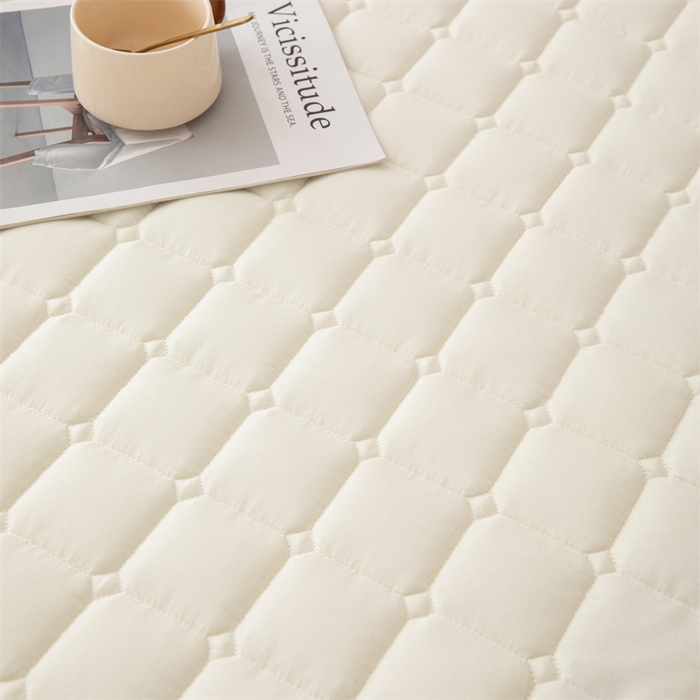 91家纺网 家纺一手货源 找家纺 拾小柒 2025新款A类原棉大豆纤维加厚床褥子床垫保护垫床笠款 浅米色