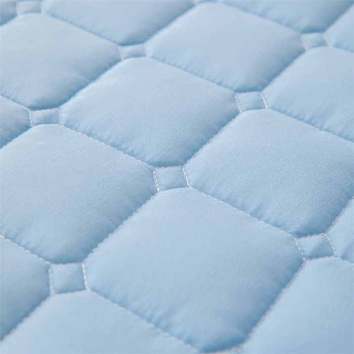 91家纺网 家纺一手货源 找家纺 拾小柒 2025新款A类原棉大豆纤维加厚床褥子床垫保护垫床笠款 天空蓝
