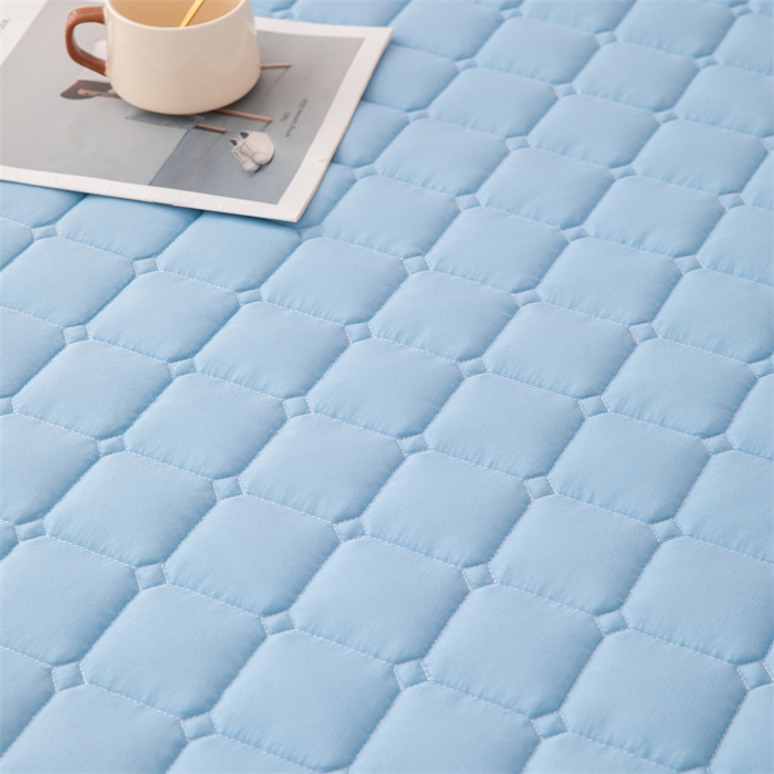 91家纺网 家纺一手货源 找家纺 拾小柒 2025新款A类原棉大豆纤维加厚床褥子床垫保护垫床笠款 天空蓝
