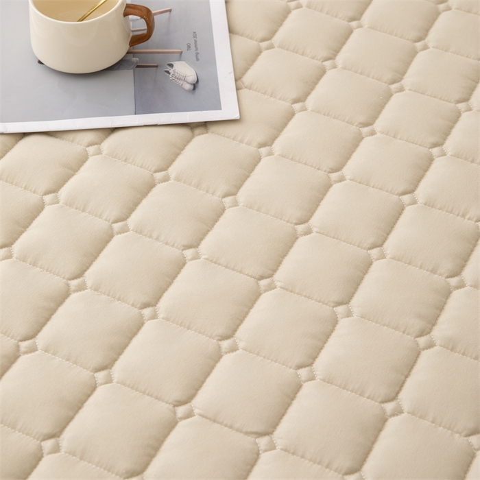 91家纺网 家纺一手货源 找家纺 拾小柒 2025新款A类原棉大豆纤维加厚床褥子床垫保护垫床笠款 浅咖色