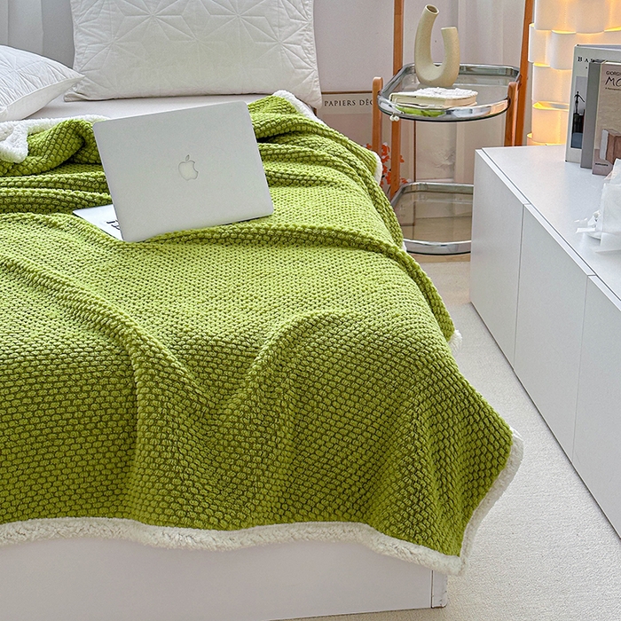 91家纺网 家纺一手货源 找家纺 （总）梵希良品家纺 2025新款玫瑰绒毛毯珊瑚绒小毯子办公室午睡毯床上用盖毯沙发毯毯子