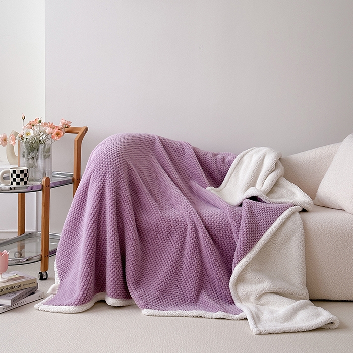 梵希良品家纺 2025新款玫瑰绒毛毯珊瑚绒小毯子办公室午睡毯床上用盖毯沙发毯毯子 优雅紫