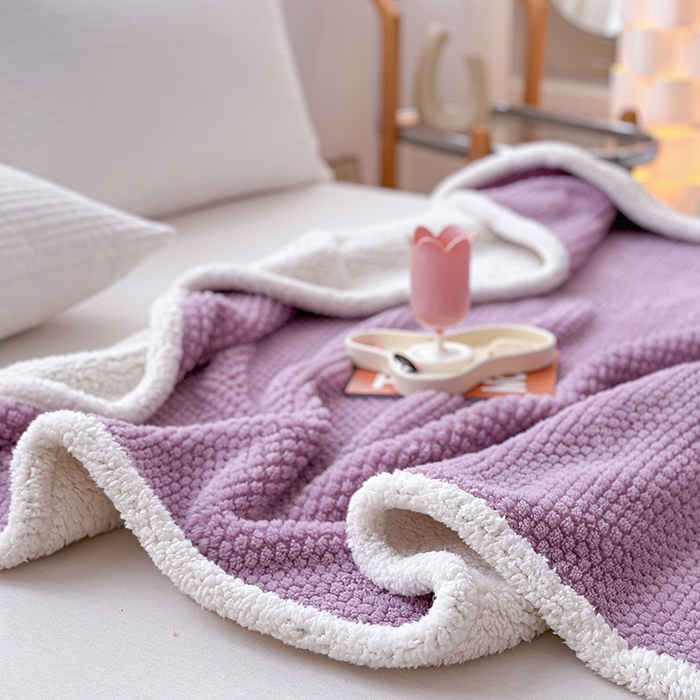 91家纺网 家纺一手货源 找家纺 梵希良品家纺 2025新款玫瑰绒毛毯珊瑚绒小毯子办公室午睡毯床上用盖毯沙发毯毯子 优雅紫