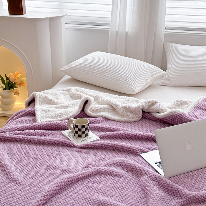 91家纺网 家纺一手货源 找家纺 梵希良品家纺 2025新款玫瑰绒毛毯珊瑚绒小毯子办公室午睡毯床上用盖毯沙发毯毯子 优雅紫