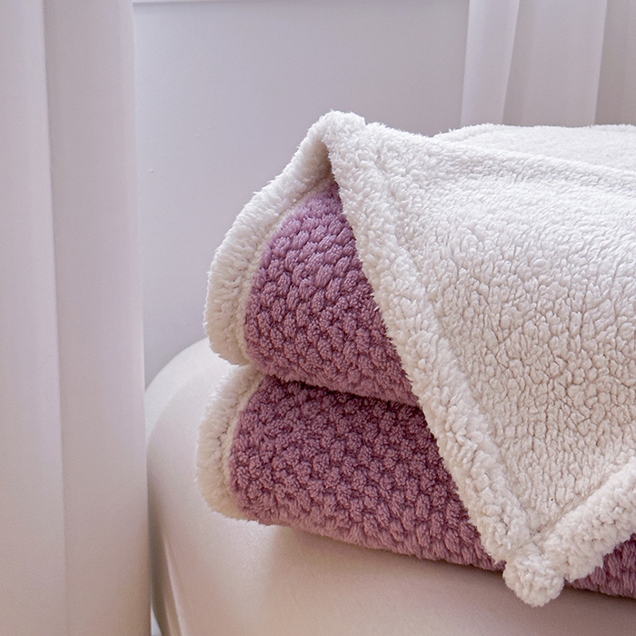 91家纺网 家纺一手货源 找家纺 梵希良品家纺 2025新款玫瑰绒毛毯珊瑚绒小毯子办公室午睡毯床上用盖毯沙发毯毯子 优雅紫