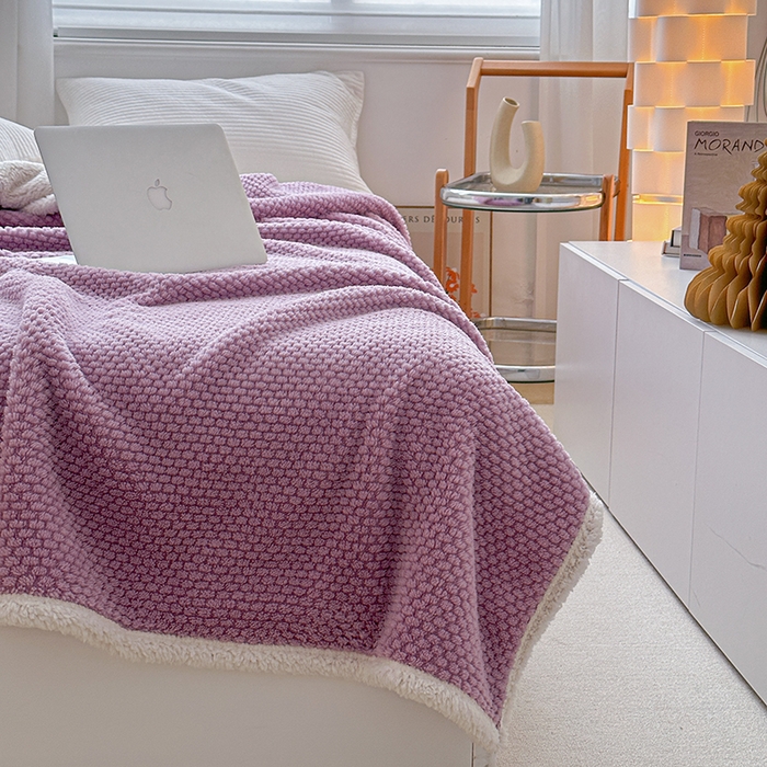91家纺网 家纺一手货源 找家纺 梵希良品家纺 2025新款玫瑰绒毛毯珊瑚绒小毯子办公室午睡毯床上用盖毯沙发毯毯子 优雅紫