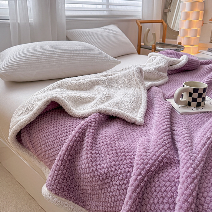 91家纺网 家纺一手货源 找家纺 梵希良品家纺 2025新款玫瑰绒毛毯珊瑚绒小毯子办公室午睡毯床上用盖毯沙发毯毯子 优雅紫