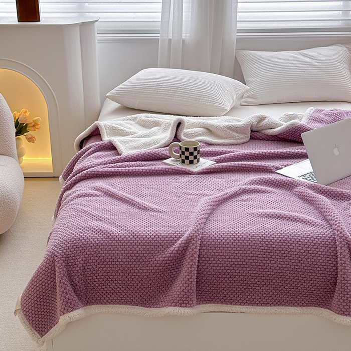 91家纺网 家纺一手货源 找家纺 梵希良品家纺 2025新款玫瑰绒毛毯珊瑚绒小毯子办公室午睡毯床上用盖毯沙发毯毯子 优雅紫