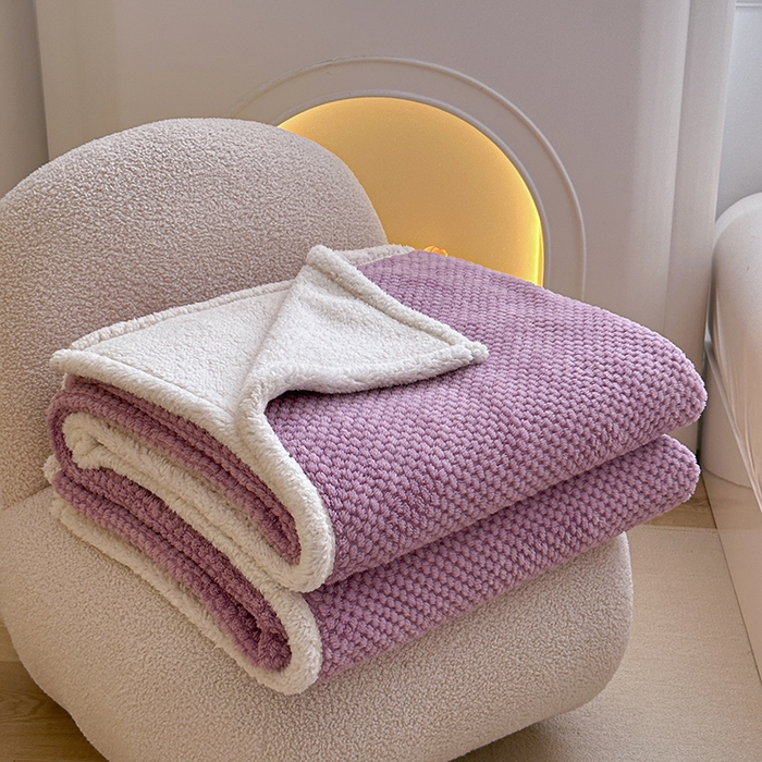 91家纺网 家纺一手货源 找家纺 梵希良品家纺 2025新款玫瑰绒毛毯珊瑚绒小毯子办公室午睡毯床上用盖毯沙发毯毯子 优雅紫