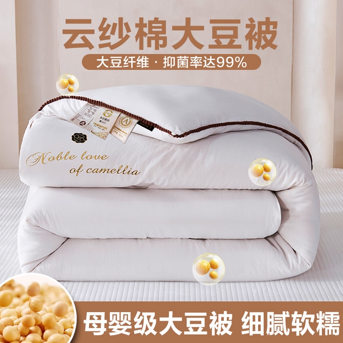 91家纺网 家纺一手货源 找家纺 （总）爱诗诺家纺 2025年新款3D立体烫画亲肤保暖云纱棉大豆被被子被芯