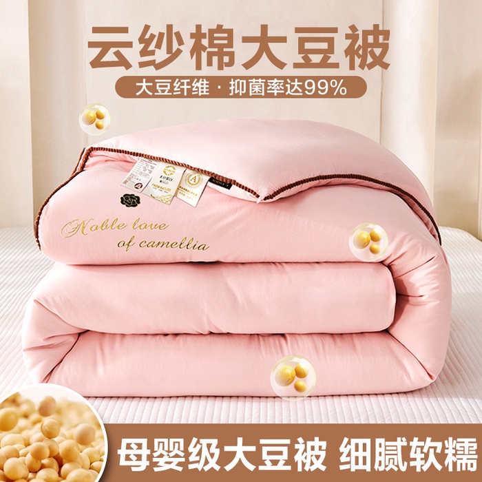 91家纺网 家纺一手货源 找家纺 （总）爱诗诺家纺 2025年新款3D立体烫画亲肤保暖云纱棉大豆被被子被芯