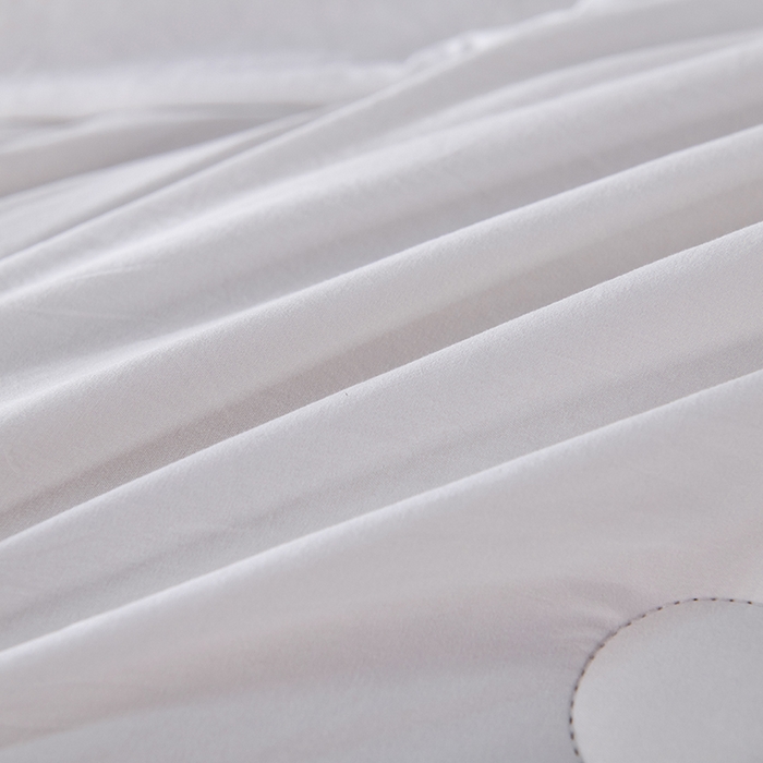 91家纺网 家纺一手货源 找家纺 爱诗诺家纺 2025年新款3D立体烫画亲肤保暖云纱棉大豆被被子被芯 云纱棉-白