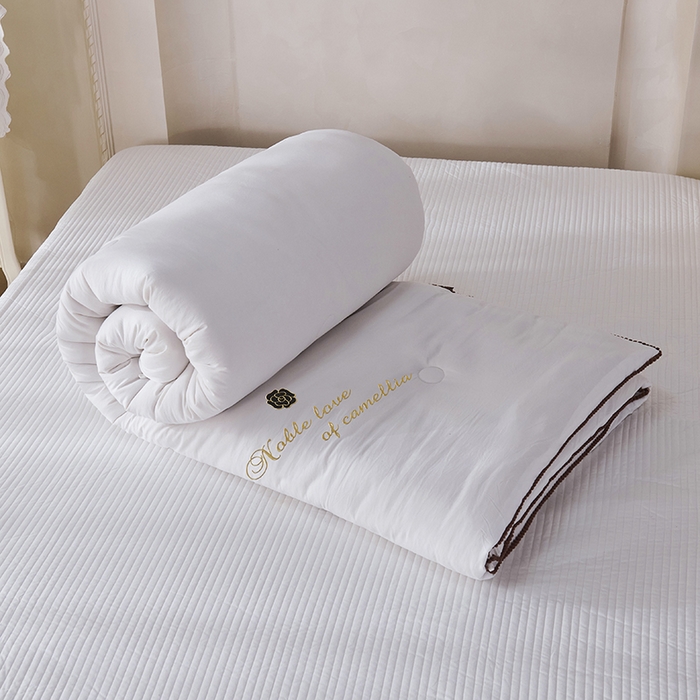 91家纺网 家纺一手货源 找家纺 爱诗诺家纺 2025年新款3D立体烫画亲肤保暖云纱棉大豆被被子被芯 云纱棉-白（主图2）