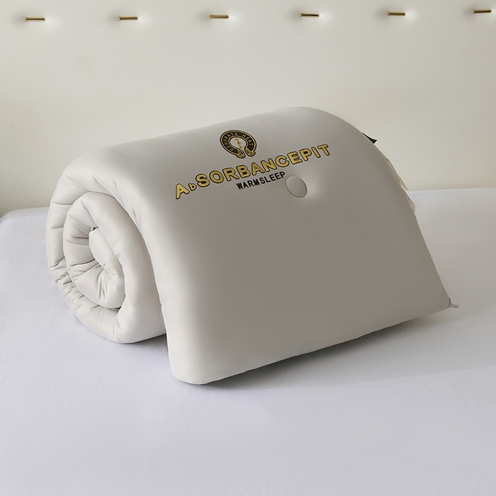 91家纺网 家纺一手货源 找家纺 爱诗诺家纺 一件代发2025年新款牛奶丝3D立体烫画大豆被春秋被直播冬被跨境电商被芯学生宿舍被子被芯 牛奶丝-灰（主图2）