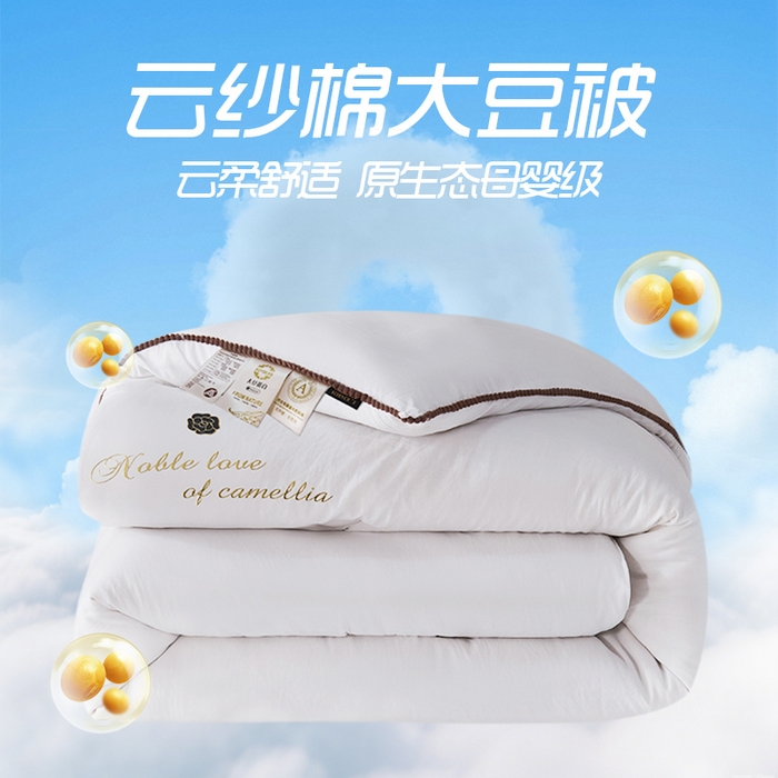 爱诗诺家纺 2025年新款3D立体烫画亲肤保暖云纱棉大豆被被子被芯 云纱棉-白（主图3）