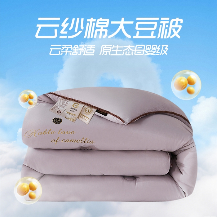 爱诗诺家纺 2025年新款3D立体烫画亲肤保暖云纱棉大豆被被子被芯 云纱棉-灰（主图3）