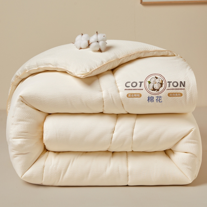 （总）悦然毛巾被 2025新款小提花棉花冬被被子被芯