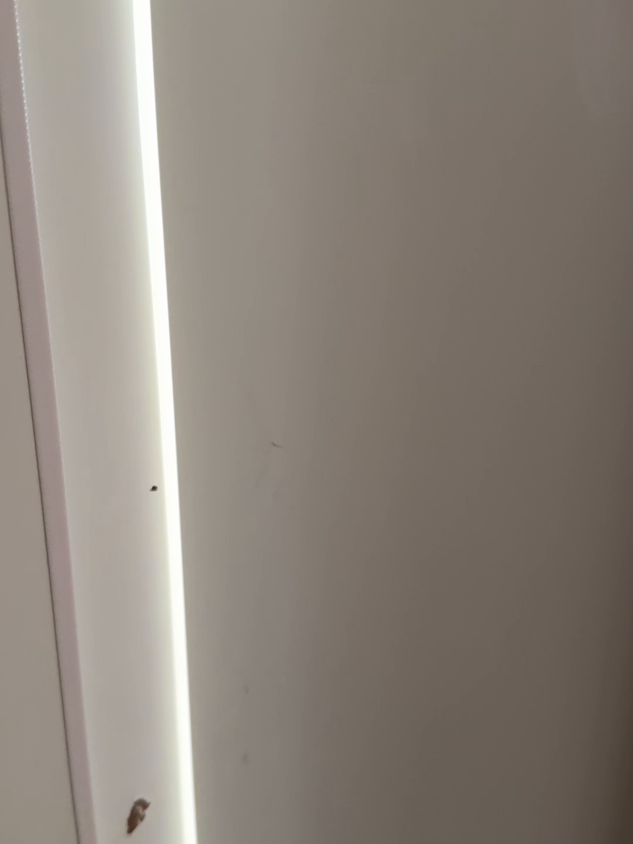 91家纺网 家纺一手货源 找家纺 火麒麟家纺 2025新款亲肤棉婚庆刺绣四件套 锦有你