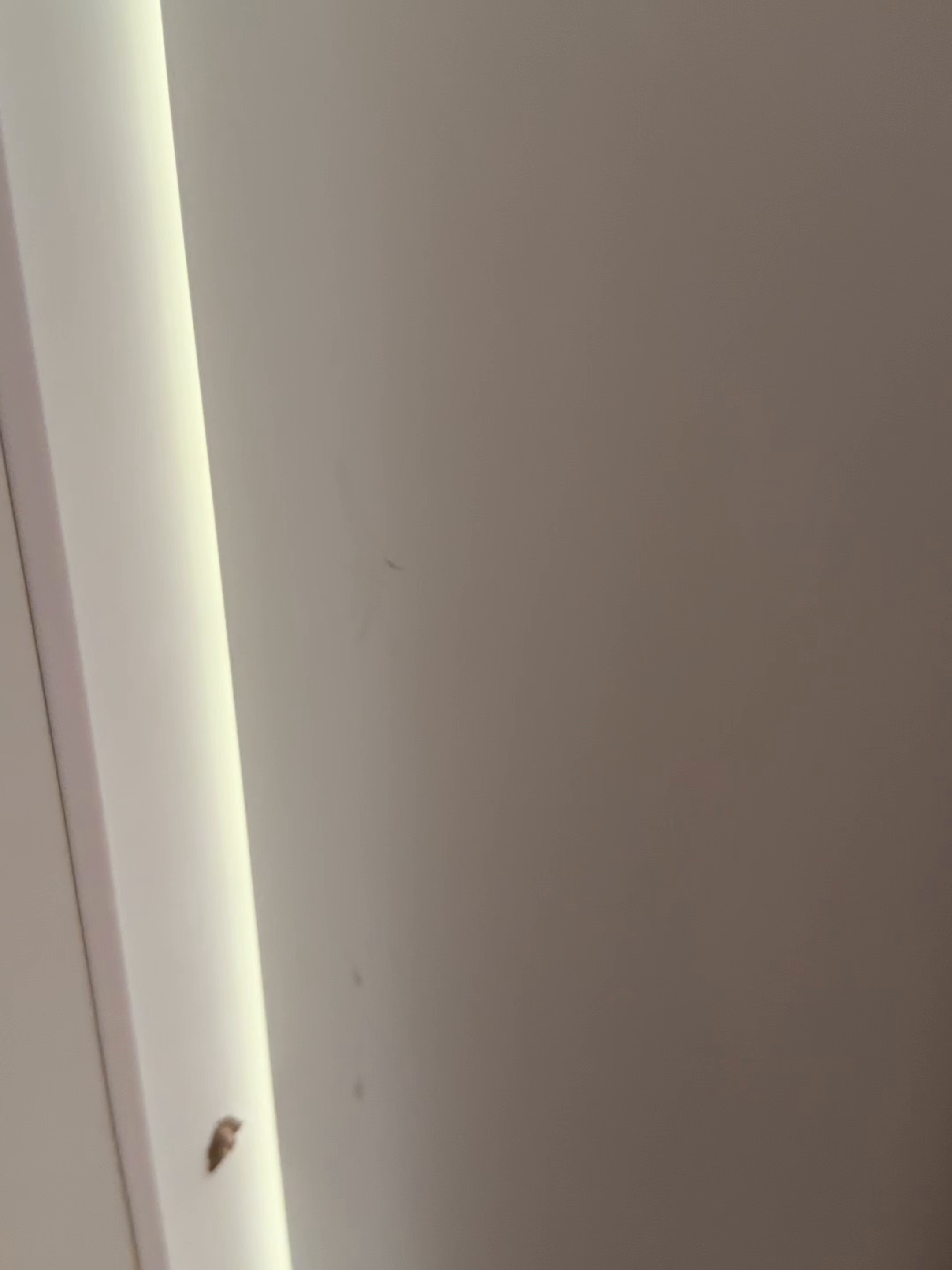 91家纺网 家纺一手货源 找家纺 火麒麟家纺 2025新款亲肤棉婚庆刺绣四件套 龙飞凤舞