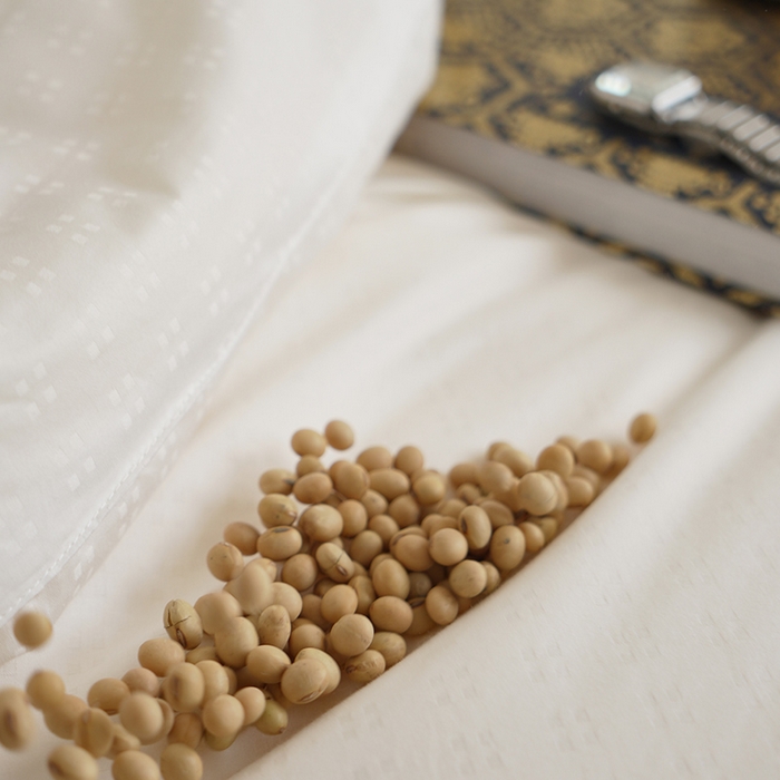 91家纺网 家纺一手货源 找家纺 （总）贝尔 PELLHOMEA类全棉60s提花大豆被春秋被子保暖加厚冬被芯四季通用场景二（可抖音代发