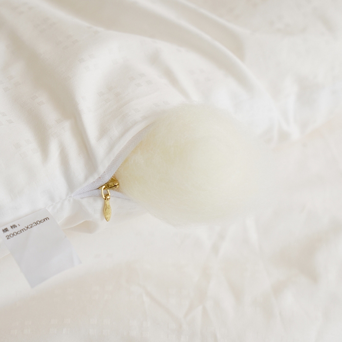 91家纺网 家纺一手货源 找家纺 （总）贝尔 PELLHOMEA类全棉60s提花大豆被春秋被子保暖加厚冬被芯四季通用场景二（可抖音代发