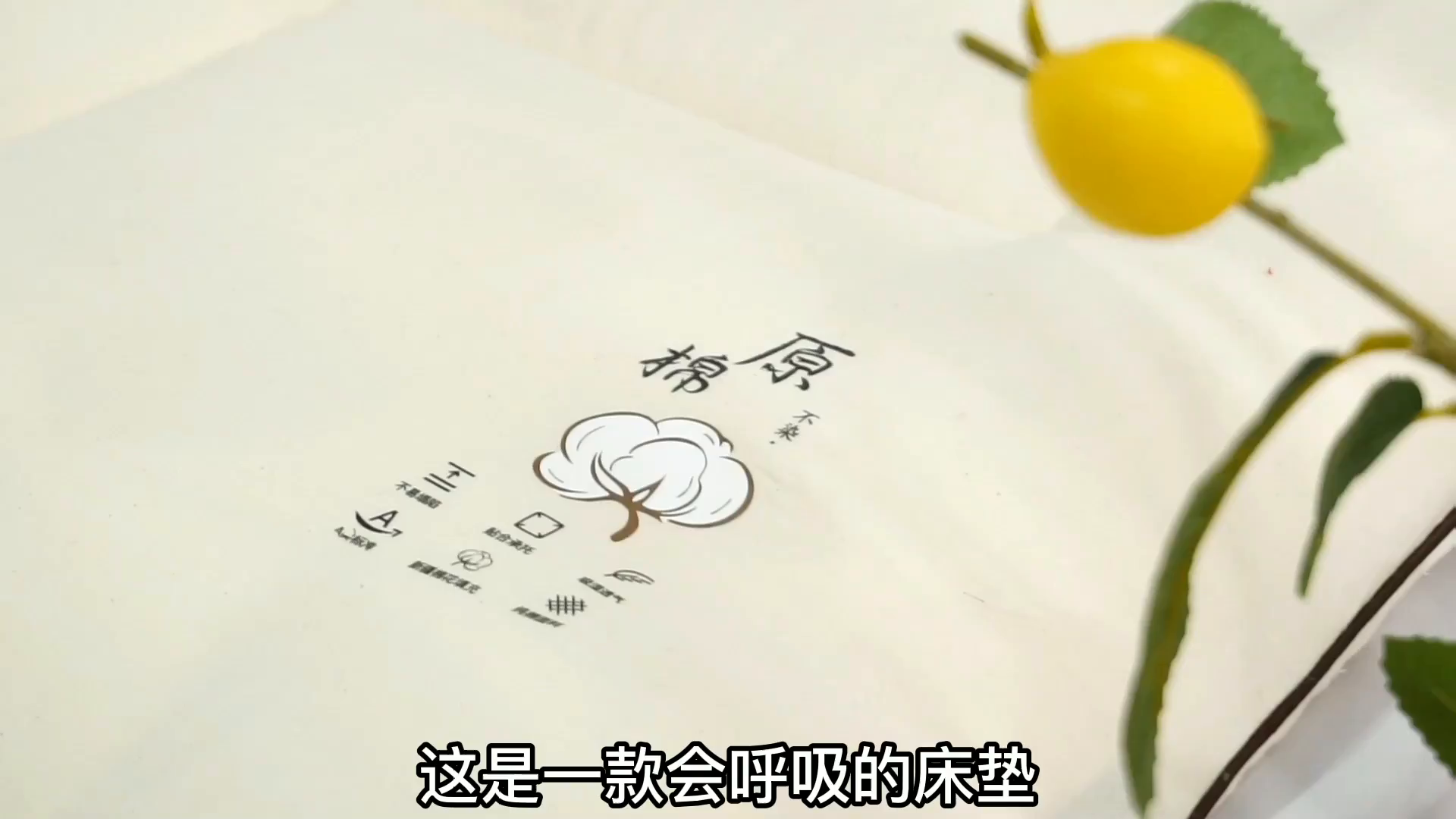 91家纺网 家纺一手货源 找家纺 贝尔 PELLHOMEA类新疆棉花床垫双人床薄垫子天然棉絮床褥垫被可定制纯棉加厚垫可抖音代发 原棉床垫-常规床