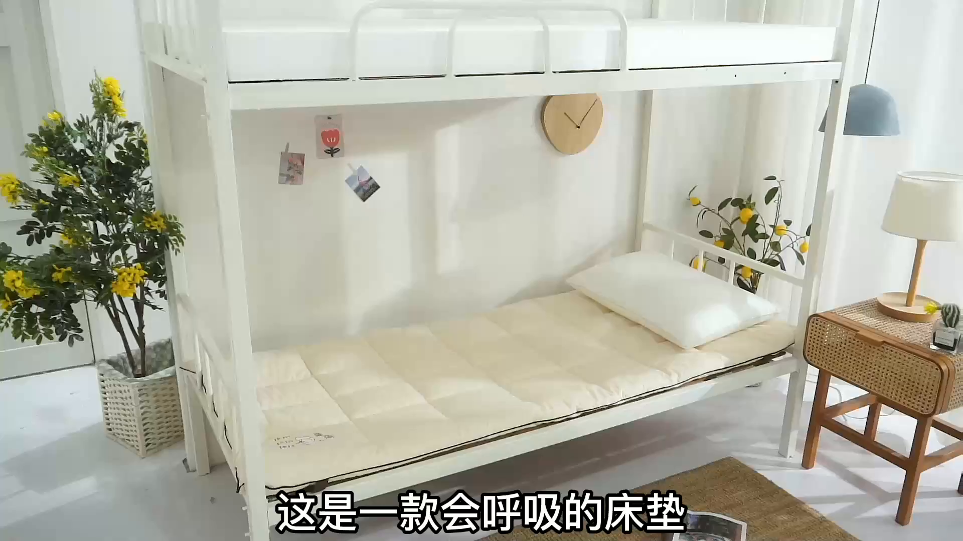 91家纺网 家纺一手货源 找家纺 贝尔 PELLHOMEA类新疆棉花床垫双人床薄垫子天然棉絮床褥垫被可定制纯棉加厚垫可抖音代发 原棉床垫-上下铺