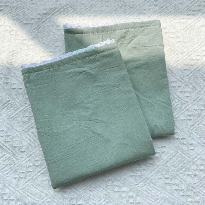 91家纺网 家纺一手货源 找家纺 卡奥家纺 2025新款A类纯棉色织枕套单枕套枕套单件 浅绿青年