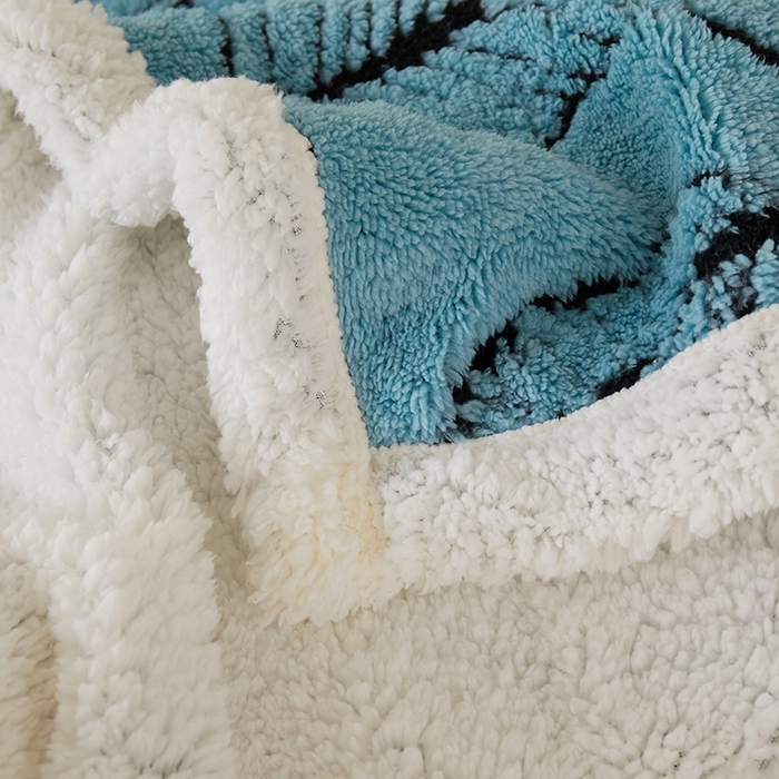 91家纺网 家纺一手货源 找家纺 楼兰公主 2025新款阳离子羊羔绒蕉叶绒毯双层毛毯毯子 蕉叶绒-兰