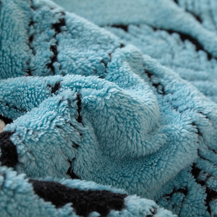 91家纺网 家纺一手货源 找家纺 楼兰公主 2025新款阳离子羊羔绒蕉叶绒毯双层毛毯毯子 蕉叶绒-兰