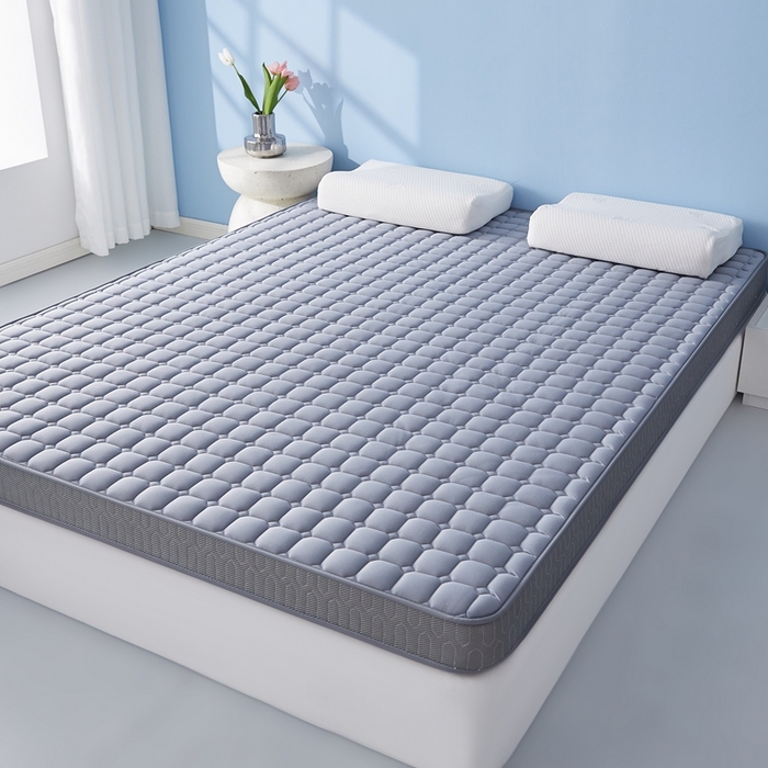 91家纺网 家纺一手货源 找家纺 （总）华誉 2025新款跨境电商专供鸟眼布床垫