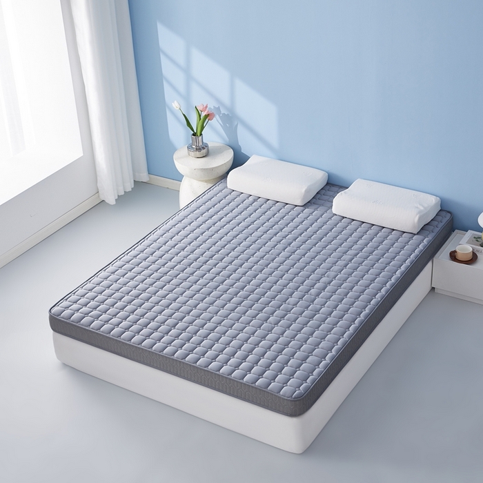 91家纺网 家纺一手货源 找家纺 （总）华誉 2025新款跨境电商专供鸟眼布床垫